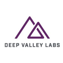 DV Labs