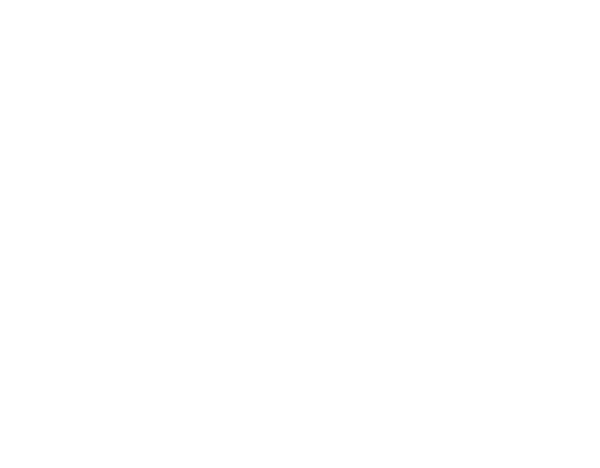 Black Oak Family Office SA
