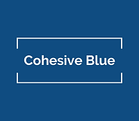 Cohesive Blue Multi Family Office
