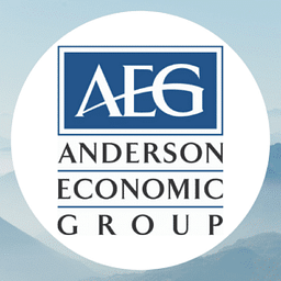 Anderson Economic Group, LLC