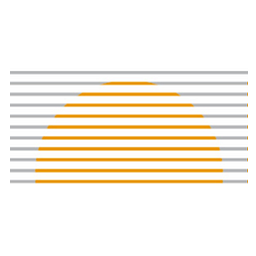 SunTrust Investment Holding Ltd.