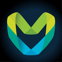 Metaverse Standards Forum