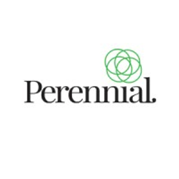 Perennial