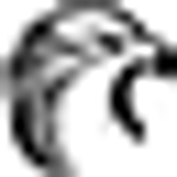 Applied Fundamentals Consulting
