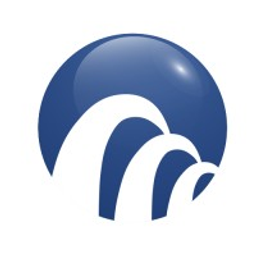 Momentum Advisory Partners