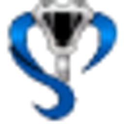 Canadian Integrated Security Services Inc.