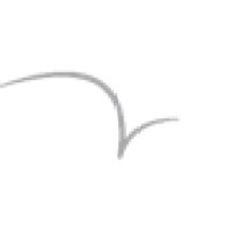 Skydance Vascular, Inc.