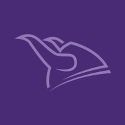 Viking Plastics