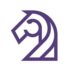 Rovin Capital