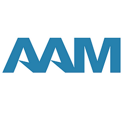 American Axle & Manufacturing (AAM)