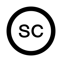 SC Holdings