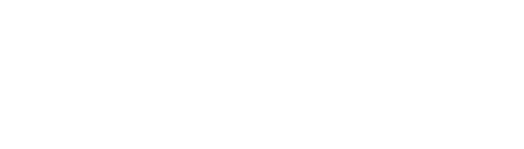 Blue Vision Capital