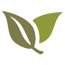 Capital Insight Partners