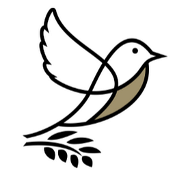 Bellvest Wealth Management