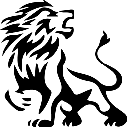 White Lion Capital Llc