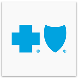 Blue Cross and Blue Shield