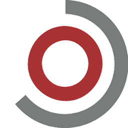 CEO Consulting