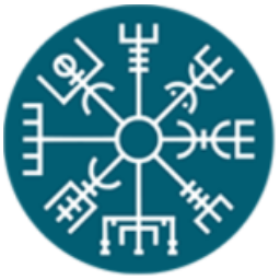 Vegvisir Capital Partners