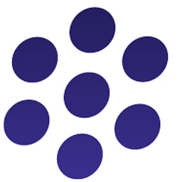 Pixelligent Technologies