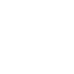 The Pitch