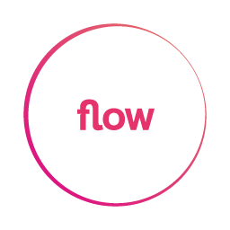 Flow Networks
