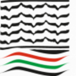 Arab Palestinian Investment Company- APIC