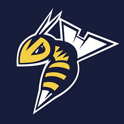 Stingers Basketball