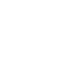 Togs Capital and Management Pte. Ltd