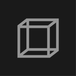 Rava Partners