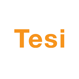 Finnish Industry Investment (Tesi)