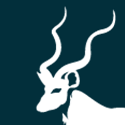 Kudu Investment Management
