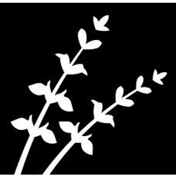 Blue Sage Capital