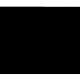 CAM Portfolio, LLC