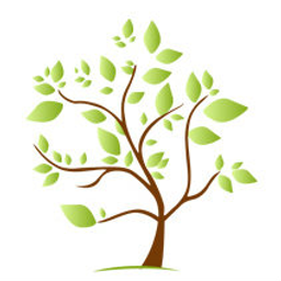 Family Wealth Consulting Group