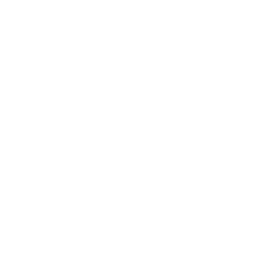 W5 Group LLC
