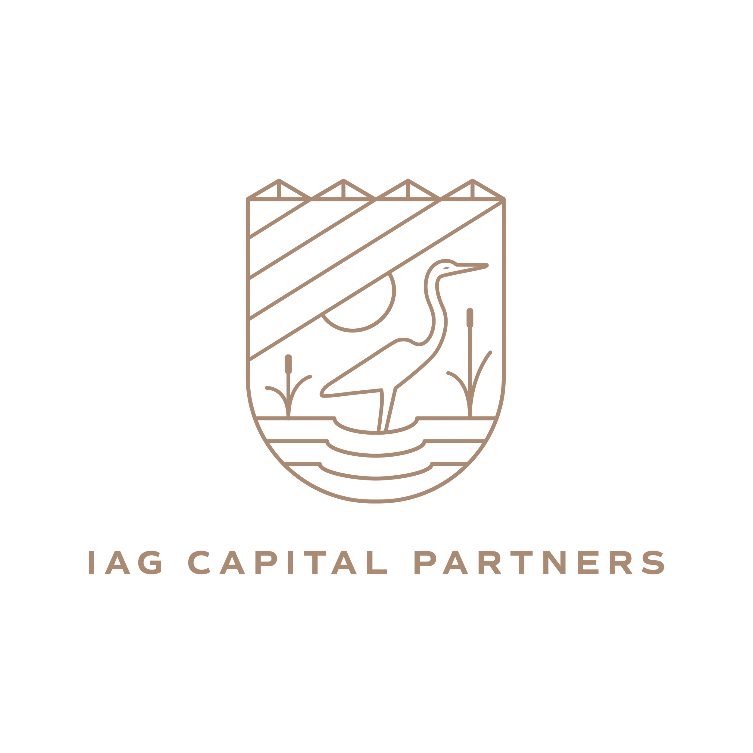 IAG Capital