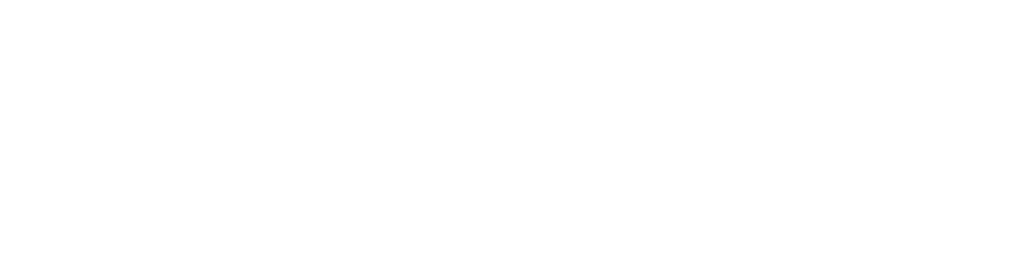 Explorer 1