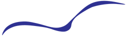 Shearwater Capital