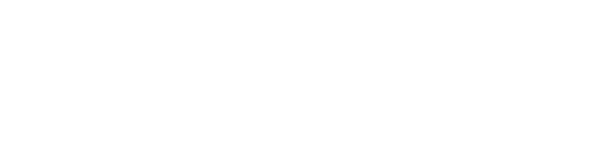 Vess Capital