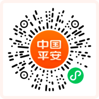 Ping An Voyager Partners
