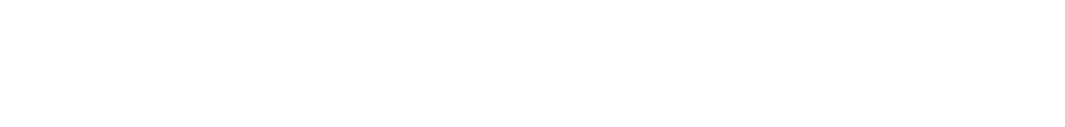 CyLon Ventures