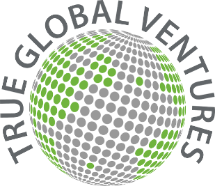 True Global Ventures 4 Plus