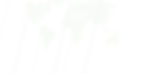 Upsparks Capital