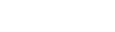 Duo Partners