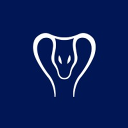 Vasuki Global Tech Fund