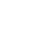 P101 Ventures