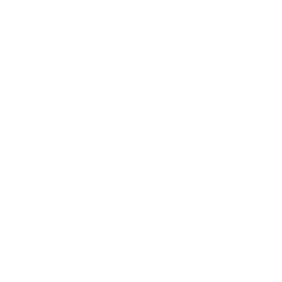 LMDV Capital