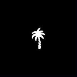 Kygo's Palm Tree Crew
