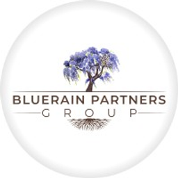 Bluerain Partners Group Inc.