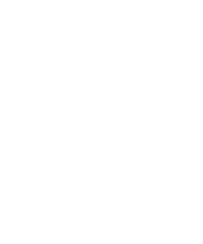 Roland Berger